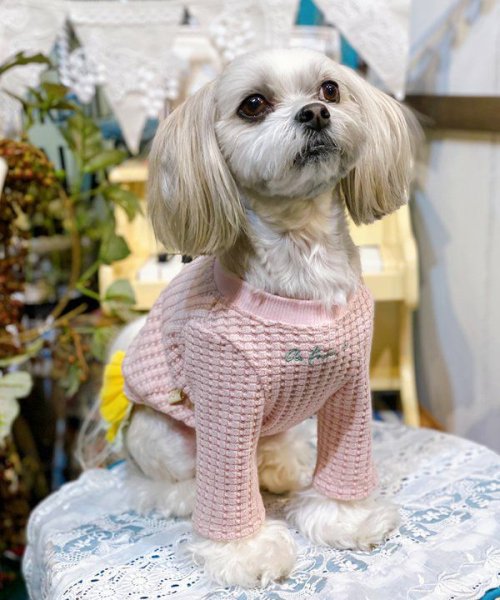 画像13:  【30%OFF】 【as know as de wan】NビッグワッフルロンT (13)