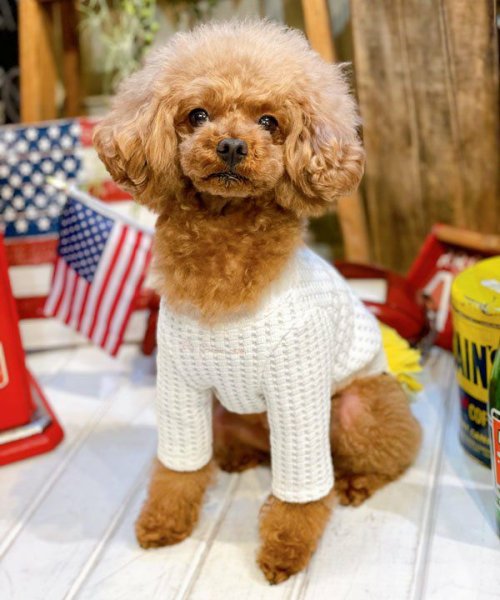 画像22:  【30%OFF】 【as know as de wan】NビッグワッフルロンT (22)