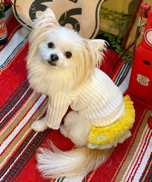 画像17:  【30%OFF】 【as know as de wan】NビッグワッフルロンT (17)