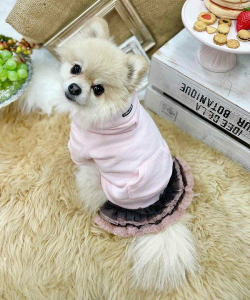 画像29:  【30％OFF】 【as know as de wan】ＮチョコチュチュＳＫ (29)