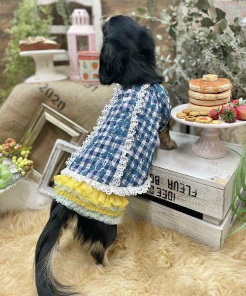 画像16:  【30％OFF】 【as know as de wan】ＮチョコチュチュＳＫ (16)