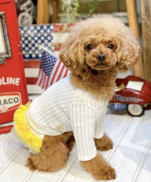 画像21:  【30%OFF】 【as know as de wan】NビッグワッフルロンT (21)