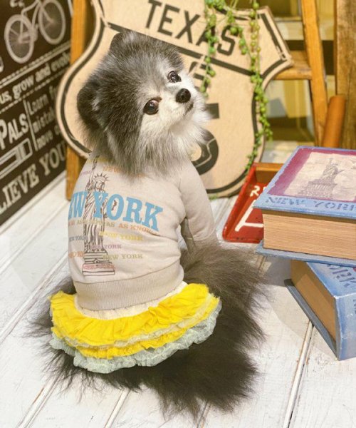 画像10:  【30%OFF】 【as know as de wan】N☆NEWYORKロンT (10)