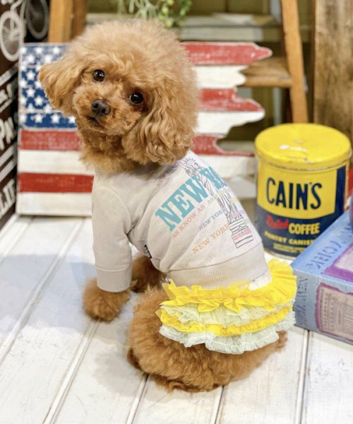 画像23:  【30%OFF】 【as know as de wan】N☆NEWYORKロンT (23)