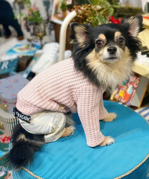 画像10:  【30%OFF】 【as know as de wan】NビッグワッフルロンT (10)