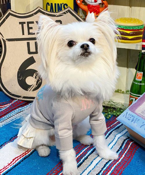 画像15:  【30%OFF】 【as know as de wan】N☆NEWYORKロンT (15)