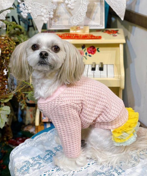 画像15:  【30％OFF】 【as know as de wan】ＮチョコチュチュＳＫ (15)