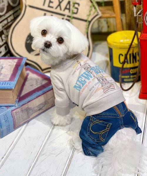 画像9:  【30%OFF】 【as know as de wan】N☆NEWYORKロンT (9)