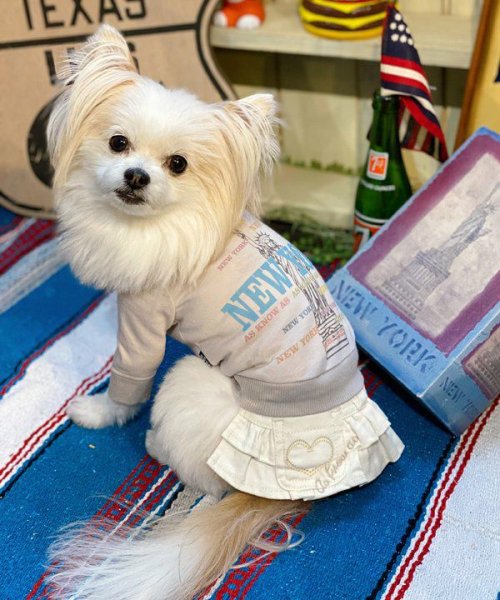 画像14:  【30%OFF】 【as know as de wan】N☆NEWYORKロンT (14)