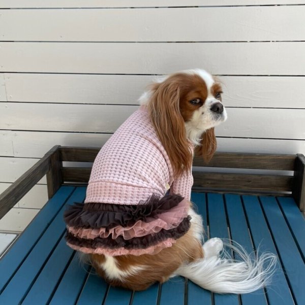 画像8:  【30%OFF】 【as know as de wan】NビッグワッフルロンT (8)