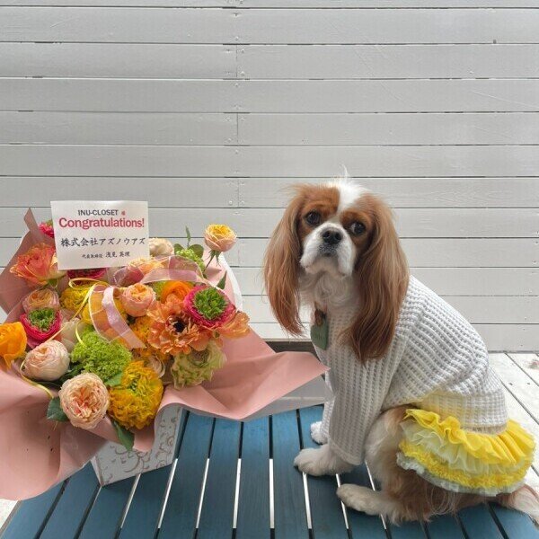 画像4:  【30%OFF】 【as know as de wan】NビッグワッフルロンT (4)