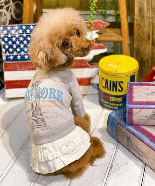 画像8:  【30%OFF】 【as know as de wan】N☆NEWYORKロンT (8)