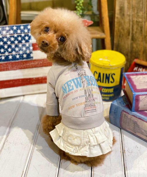 画像7:  【30%OFF】 【as know as de wan】N☆NEWYORKロンT (7)