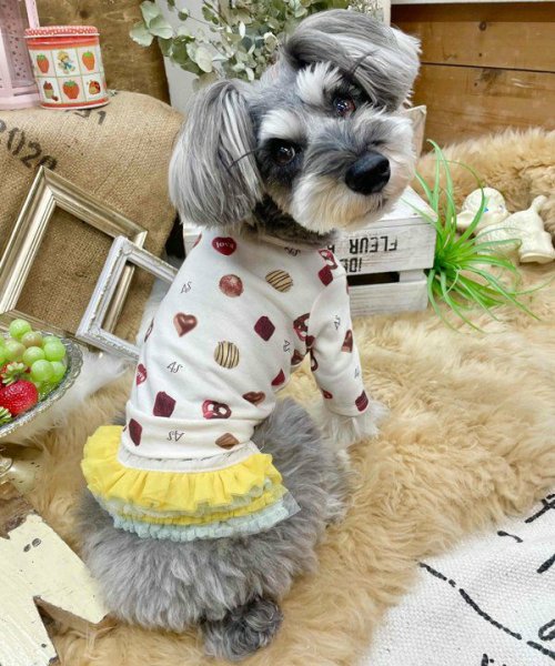 画像19:  【30％OFF】 【as know as de wan】ＮチョコチュチュＳＫ (19)