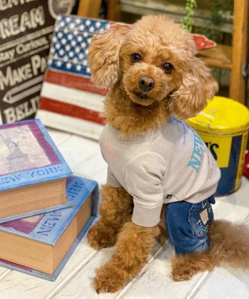 画像18:  【30%OFF】 【as know as de wan】N☆NEWYORKロンT (18)