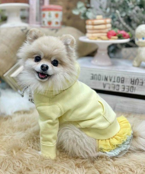 画像21:  【30％OFF】 【as know as de wan】ＮチョコチュチュＳＫ (21)