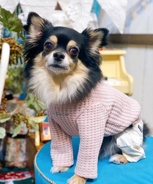 画像9:  【30%OFF】 【as know as de wan】NビッグワッフルロンT (9)