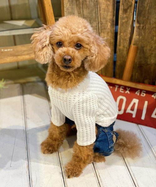 画像18:  【30%OFF】 【as know as de wan】NビッグワッフルロンT (18)