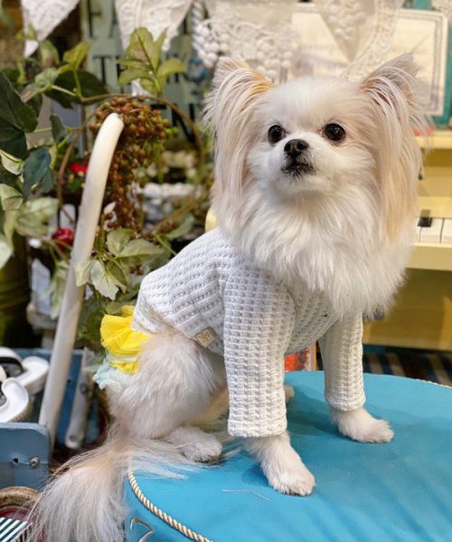 画像16:  【30%OFF】 【as know as de wan】NビッグワッフルロンT (16)