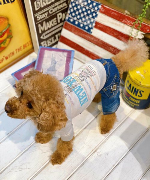 画像20:  【30%OFF】 【as know as de wan】N☆NEWYORKロンT (20)