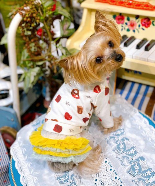 画像13:  【30％OFF】 【as know as de wan】ＮチョコチュチュＳＫ (13)