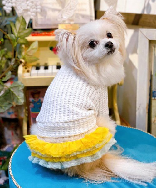 画像11:  【30％OFF】 【as know as de wan】ＮチョコチュチュＳＫ (11)