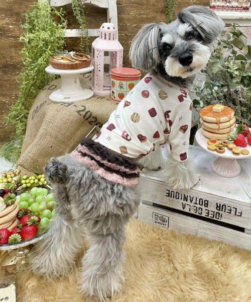 画像30:  【30％OFF】 【as know as de wan】ＮチョコチュチュＳＫ (30)