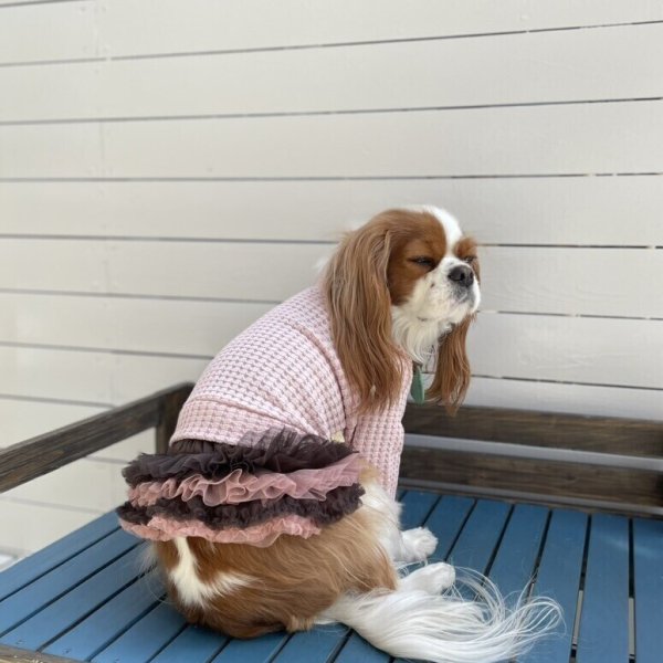 画像6:  【30%OFF】 【as know as de wan】NビッグワッフルロンT (6)