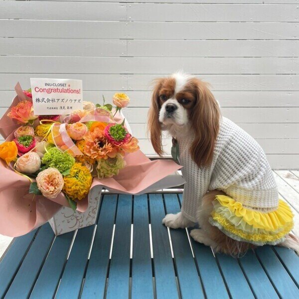 画像5:  【30%OFF】 【as know as de wan】NビッグワッフルロンT (5)