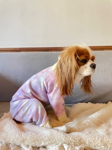 画像7:  10％OFF 【キャバスーツ  FLEECE】ユメカワハート (7)