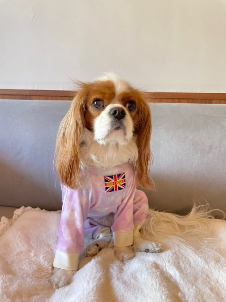 画像8:  10％OFF 【キャバスーツ  FLEECE】ユメカワハート (8)