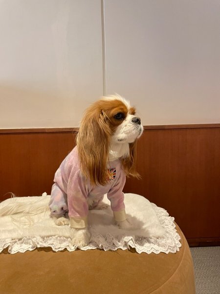 画像9:  10％OFF 【キャバスーツ  FLEECE】ユメカワハート (9)