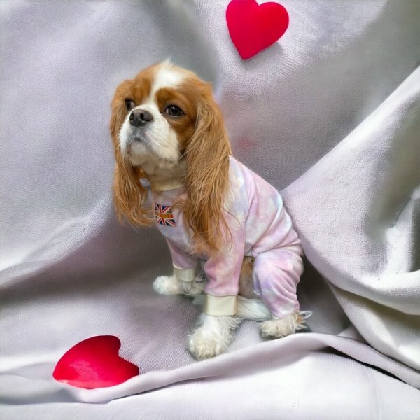 画像3:  10％OFF 【キャバスーツ  FLEECE】ユメカワハート (3)