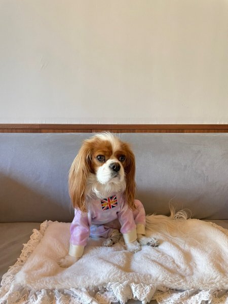 画像4:  10％OFF 【キャバスーツ  FLEECE】ユメカワハート (4)