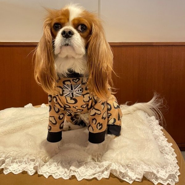 画像7:  人気★再販 【キャバスーツ  FLEECE】ブラウンシュガー (7)