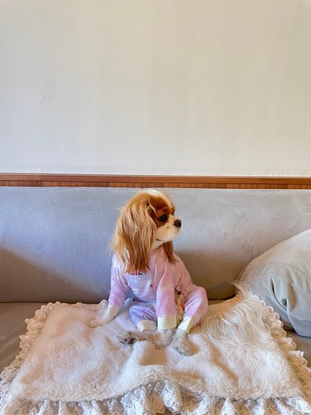 画像5:  10％OFF 【キャバスーツ  FLEECE】ユメカワハート (5)