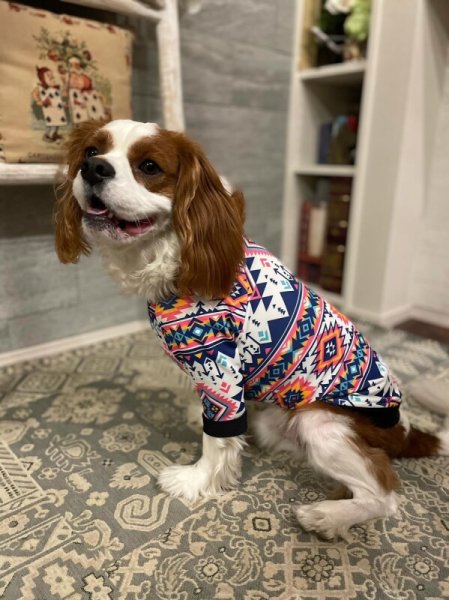 画像5:  30％OFF 【CAVA TEE】オルテガ23 (5)