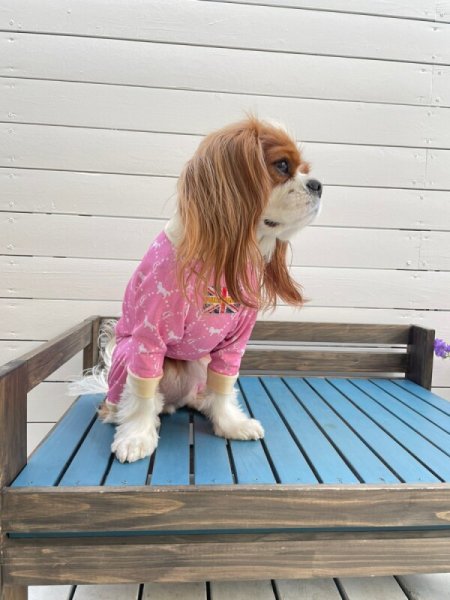 画像8:  10％OFF 【キャバスーツ LIMITED】Anniversary Monogram：DENIM BLUE (8)