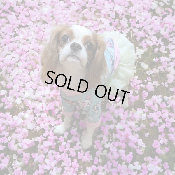 画像4:  30％OFF 【CAVA TEE】ゆにこーん (4)