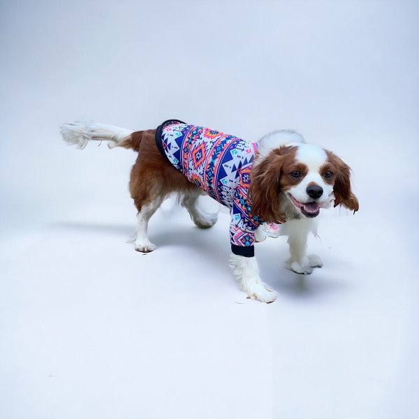 画像4:  30％OFF 【CAVA TEE】オルテガ23 (4)