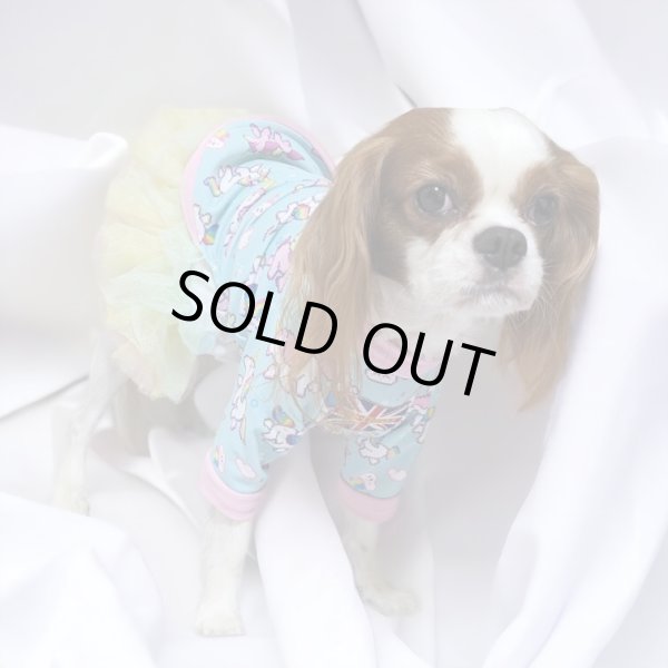 画像6:  30％OFF 【CAVA TEE】ゆにこーん (6)