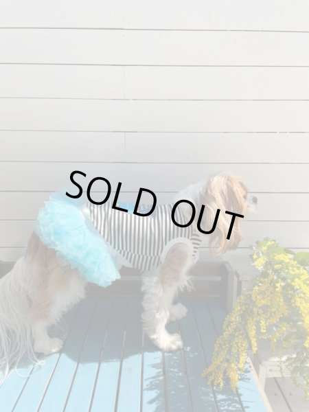 画像9:  【30％OFF】 【as know as de wan】ＦＵＮＦＵＮハートＴＫ (9)