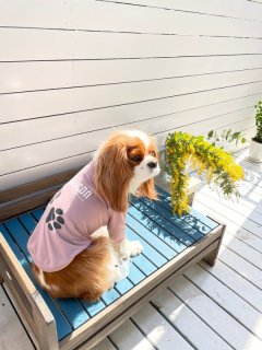 Jennyちゃんお気に入り】土偶 - INU-CLOSET Jennyちゃんお気に入り】土偶 - INU-CLOSET
