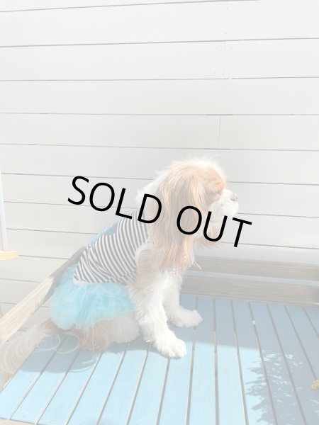 画像10:  【30％OFF】 【as know as de wan】ＦＵＮＦＵＮハートＴＫ (10)