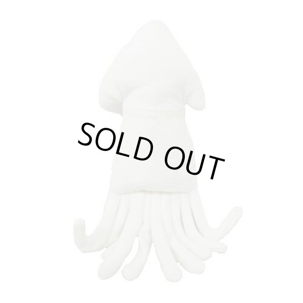 画像2:  【Jennyちゃんお気に入り】 イカ (2)