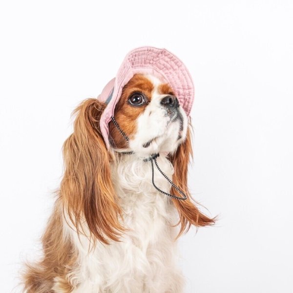 画像3: イヌクロ刺繍ハット (3)