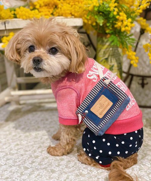 画像5:  【30％OFF】 【as know as de wan】 ＮルーズリードットＰＴ (5)