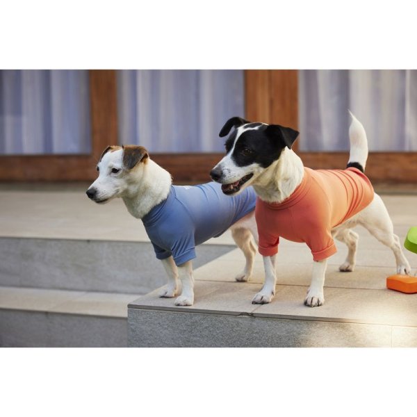 画像30:  【10％OFF】 SKIN TIGHT COOL T-SHIRT  スキンタイトクールＴシャツ (30)