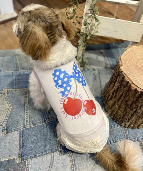 画像8:  【30%OFF】 【as know as de wan】Nずっと一緒にTK (8)