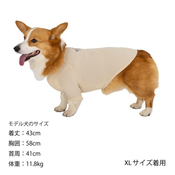 画像25:  【10％OFF】 SKIN TIGHT COOL T-SHIRT  スキンタイトクールＴシャツ (25)